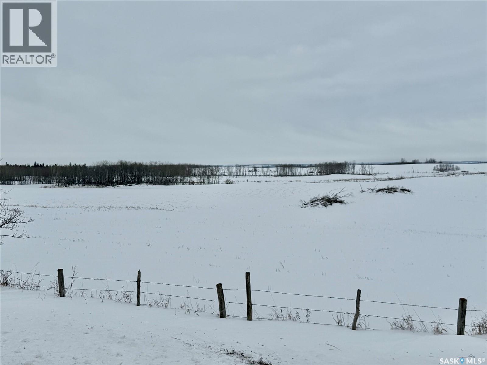 Ne 02-50-10-W3 - Hay/pasture Land, Spiritwood Rm No. 496, Saskatchewan  S0J 2M0 - Photo 8 - SK029872