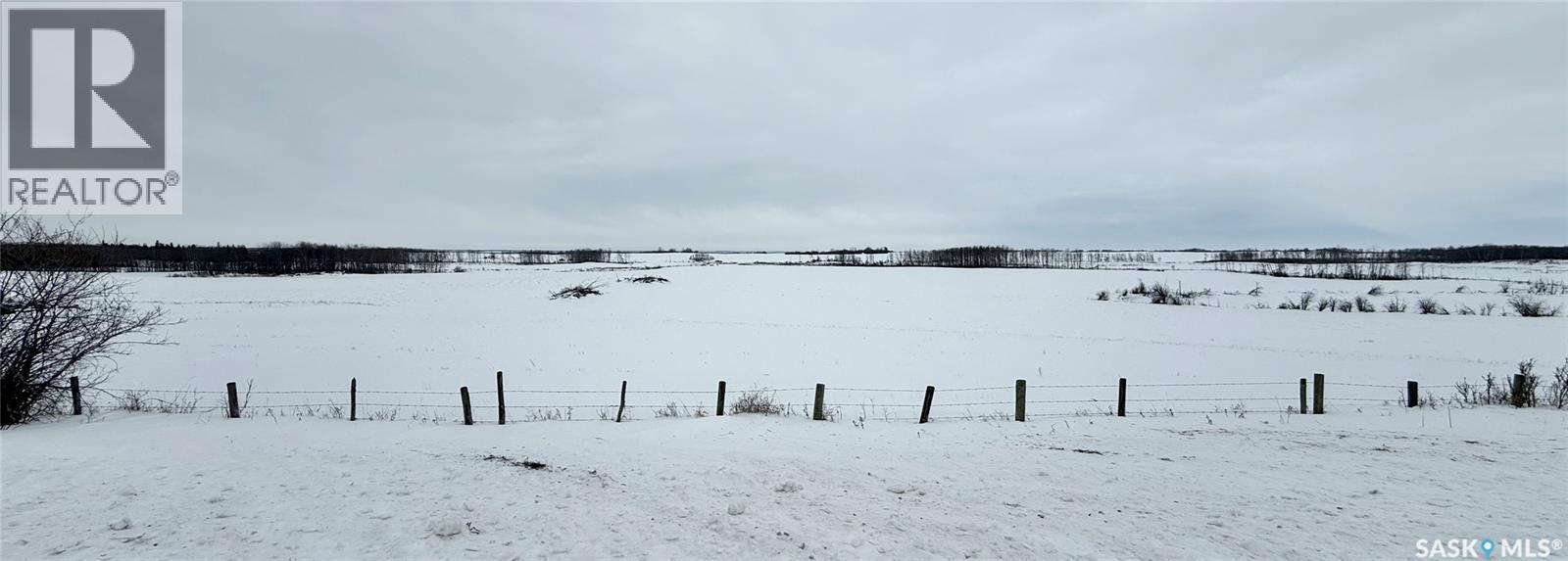 Ne 02-50-10-W3 - Hay/pasture Land, Spiritwood Rm No. 496, Saskatchewan  S0J 2M0 - Photo 9 - SK029872