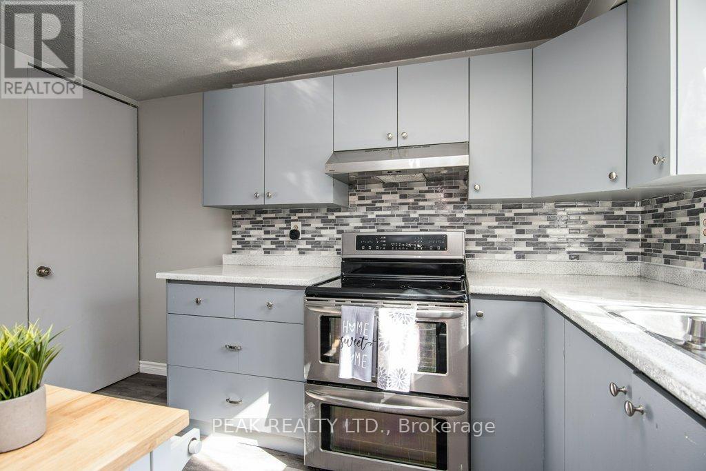 696 Parkview Crescent, Cambridge, Ontario  N3H 4X7 - Photo 16 - X12855486