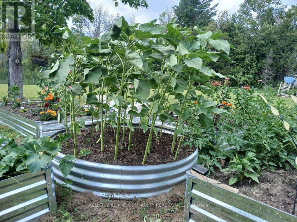 8980 County Road 50 Road, Havelock-Belmont-Methuen (Belmont-Methuen), Ontario  K0L 1Z0 - Photo 48 - X12844590