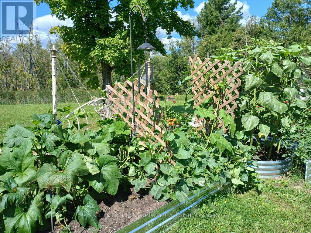 8980 County Road 50 Road, Havelock-Belmont-Methuen (Belmont-Methuen), Ontario  K0L 1Z0 - Photo 46 - X12844590