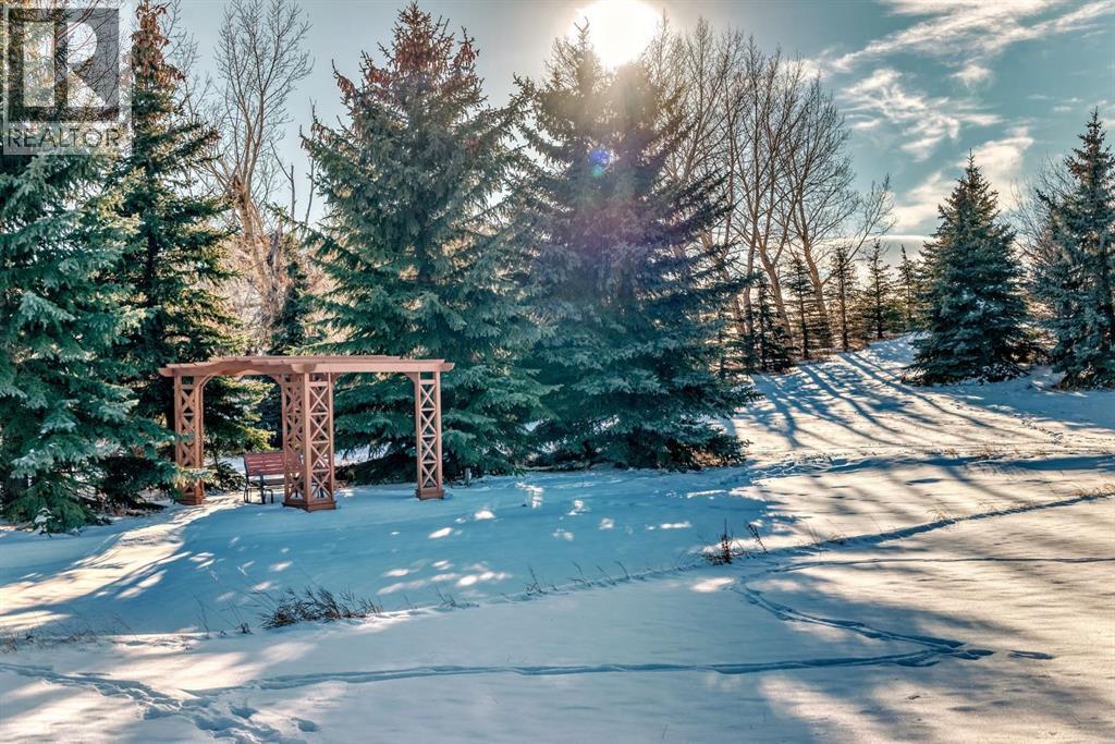 39 Stage Coach Trail, Rural Rocky View County, Alberta  T4A 0P4 - Photo 41 - A2286699