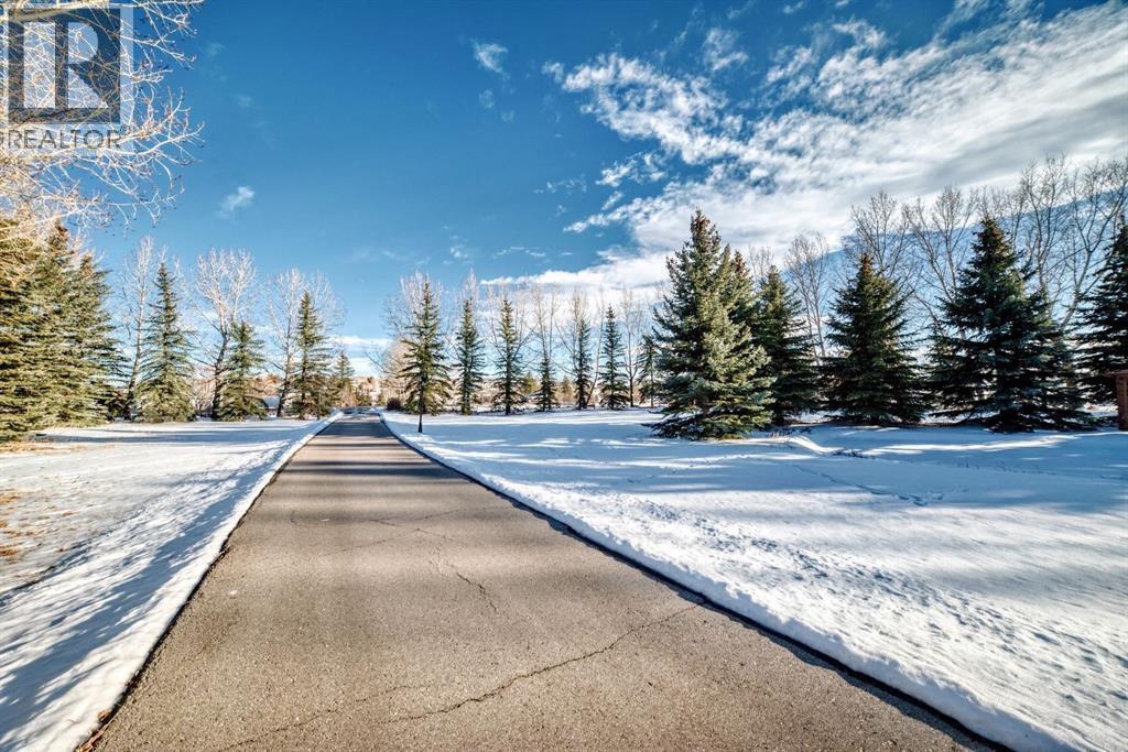 39 Stage Coach Trail, Rural Rocky View County, Alberta  T4A 0P4 - Photo 46 - A2286699