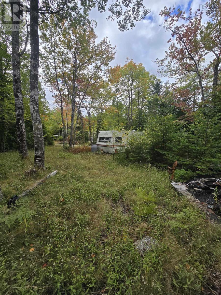 41 Freeman Collicutt Road, Canaan, Nova Scotia  B0J 1J0 - Photo 4 - 202524358