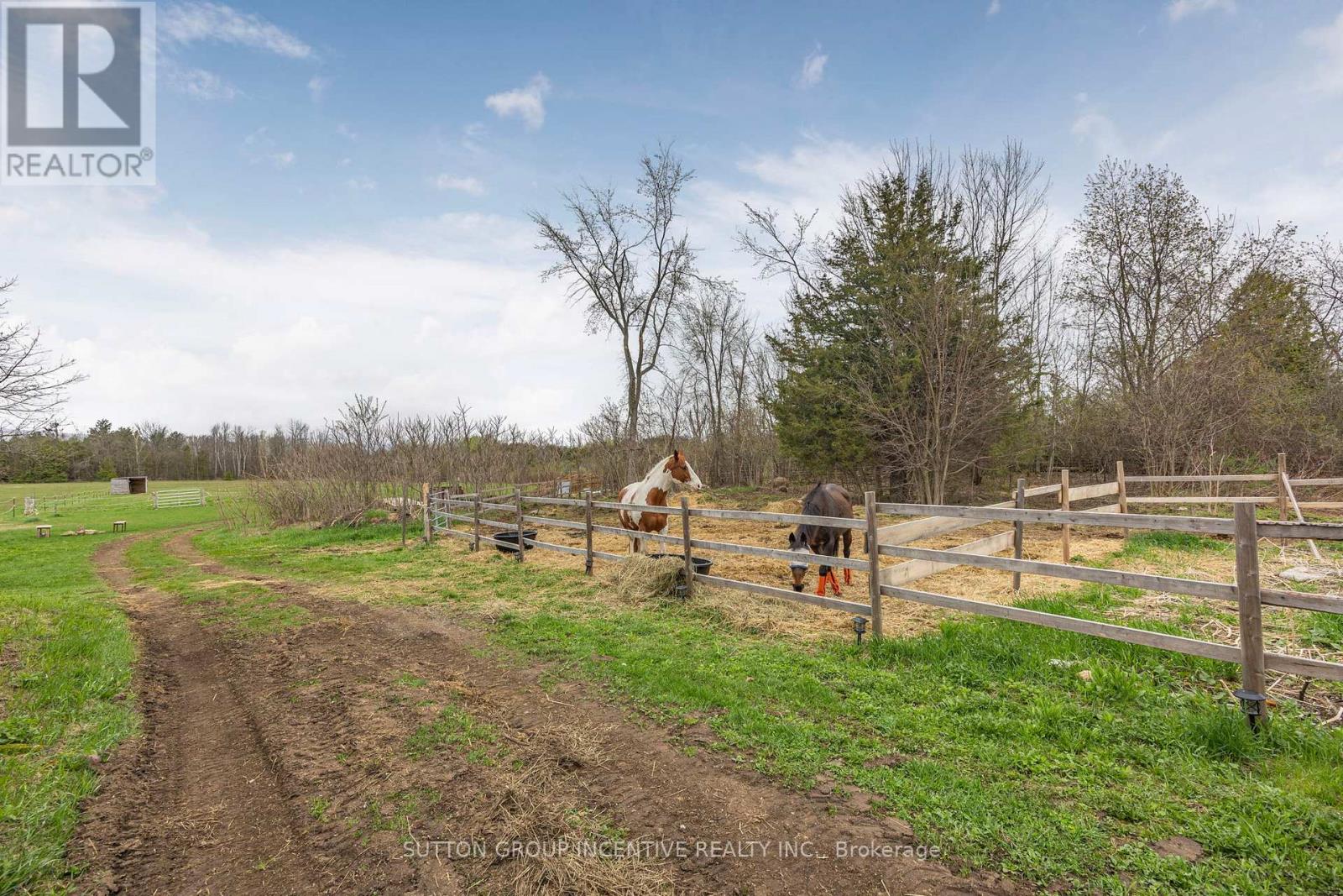 2266 Foxmead Road, Oro-Medonte, Ontario  L0K 1E0 - Photo 33 - S12855726