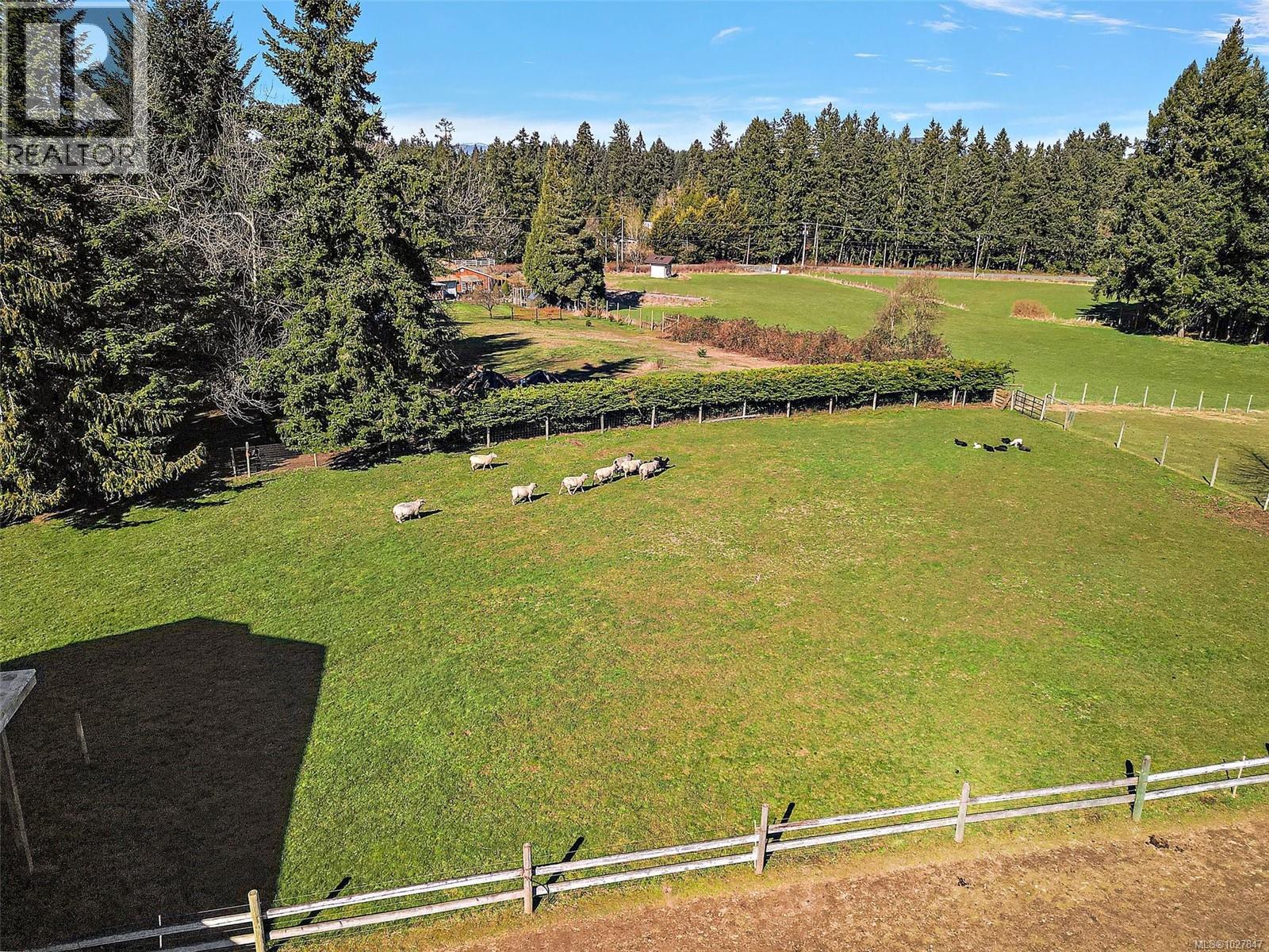 1175 Rolmar Cres, Cobble Hill, British Columbia V8H 0E3 - Photo 6 - 1027847