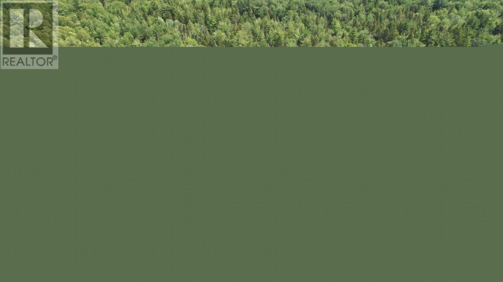 Lot 16 Shingle Lake Road, New Elm, Nova Scotia  B4V 7M3 - Photo 2 - 202604047