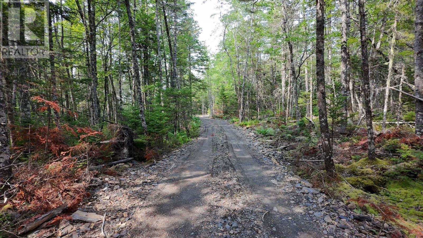 Lot 16 Shingle Lake Road, New Elm, Nova Scotia  B4V 7M3 - Photo 21 - 202604047