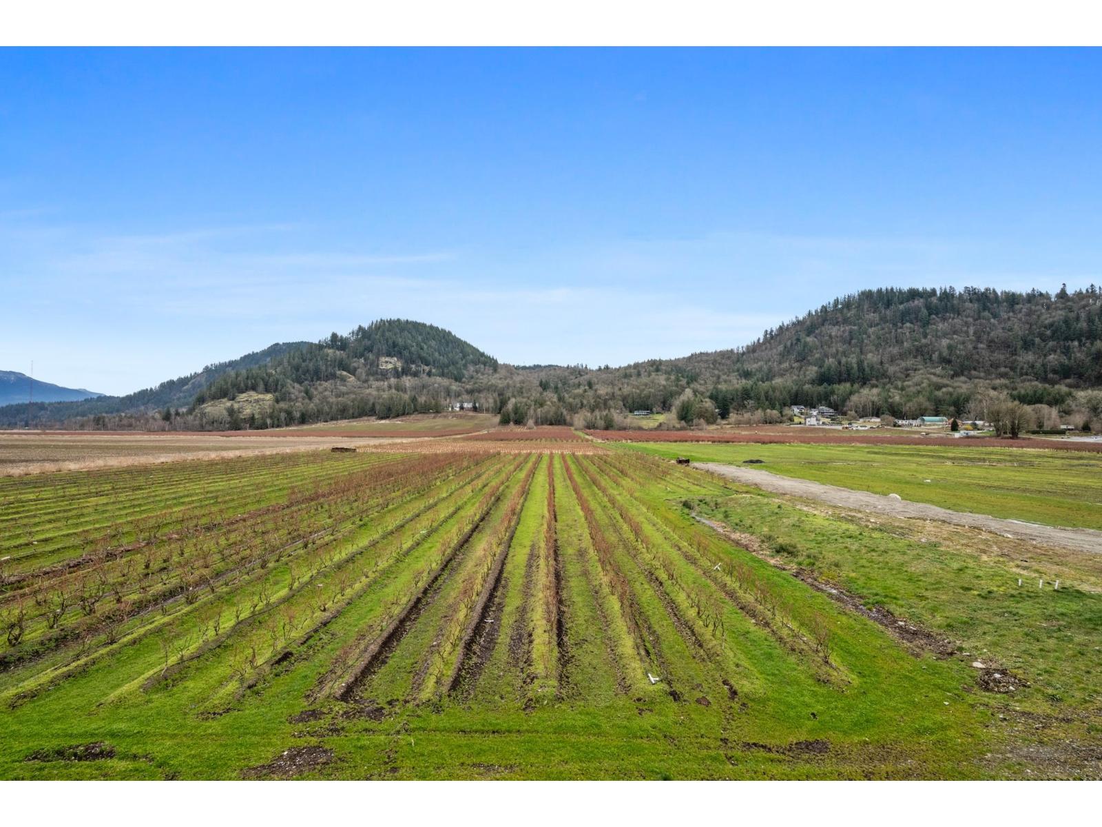 5390 Beharrell Road, Abbotsford, British Columbia  V3G 1P8 - Photo 7 - R3096822