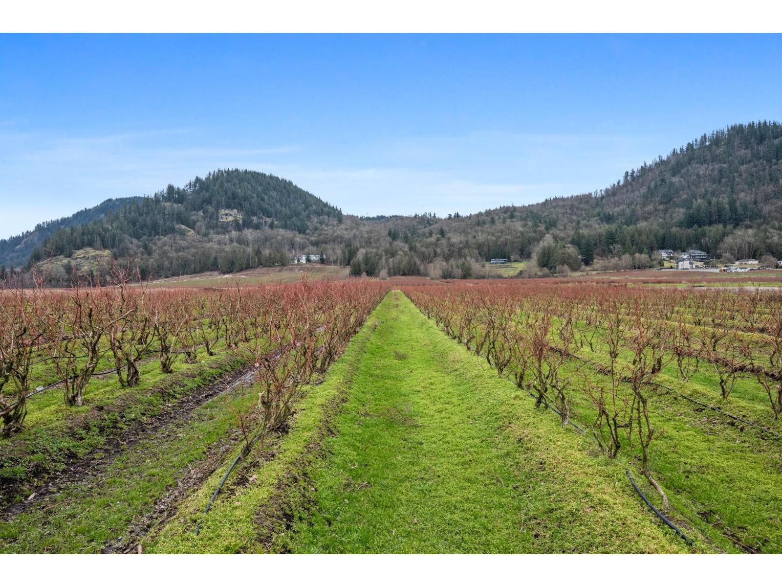 5390 Beharrell Road, Abbotsford, British Columbia  V3G 1P8 - Photo 6 - R3096822