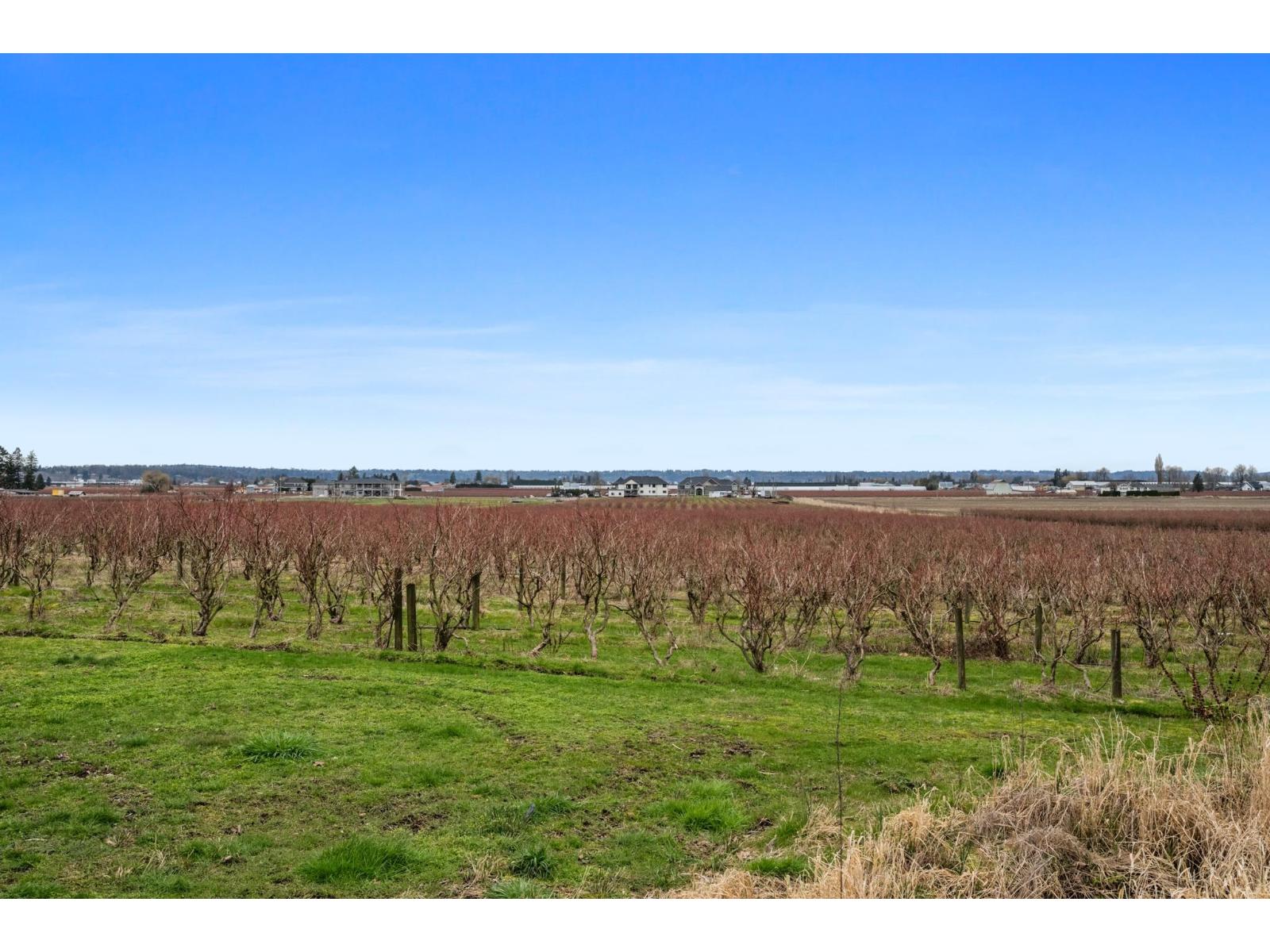 5390 Beharrell Road, Abbotsford, British Columbia  V3G 1P8 - Photo 5 - R3096822