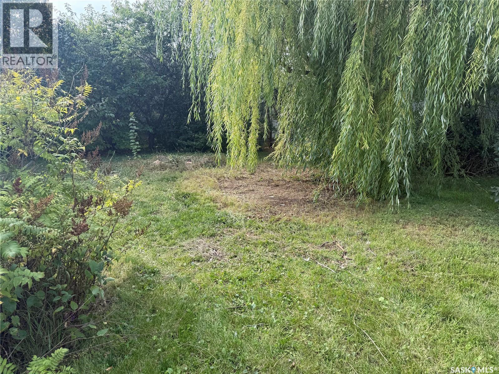 211 Martin Street, Pangman, Saskatchewan  S0C 2C0 - Photo 41 - SK029899