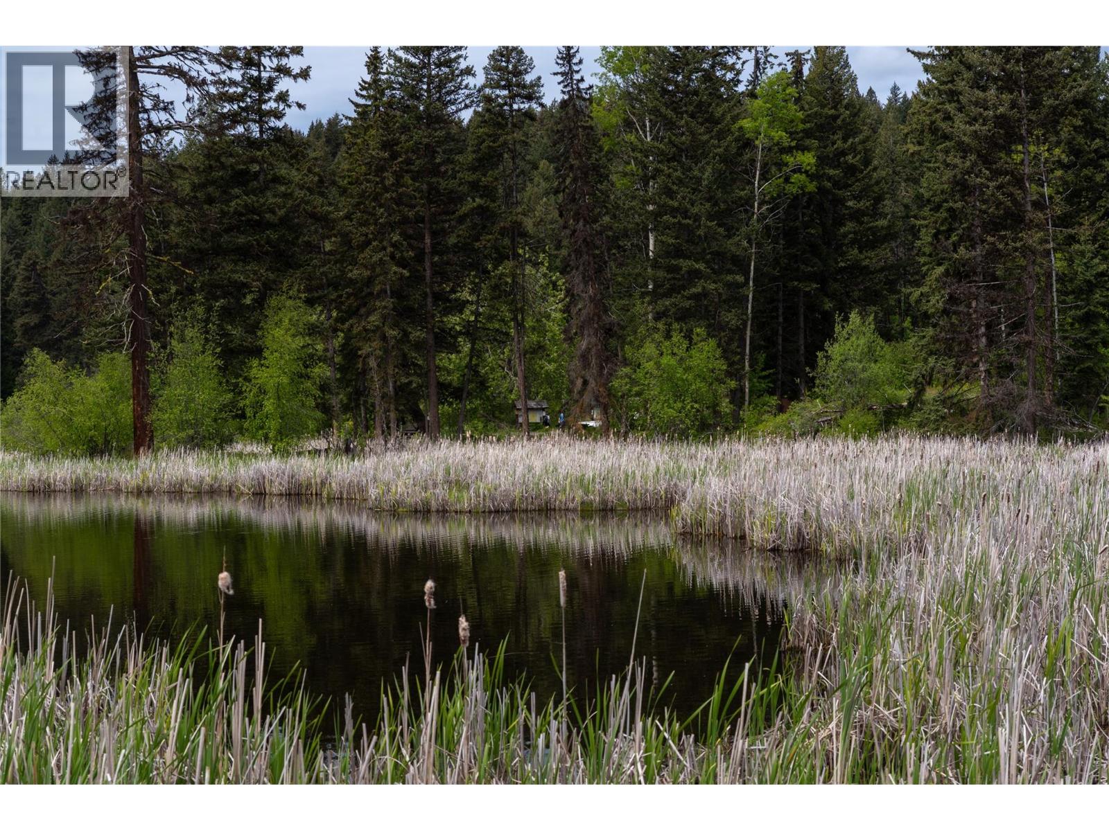 339 Poplar Drive, Logan Lake, British Columbia  V0K 1W0 - Photo 17 - 10378429