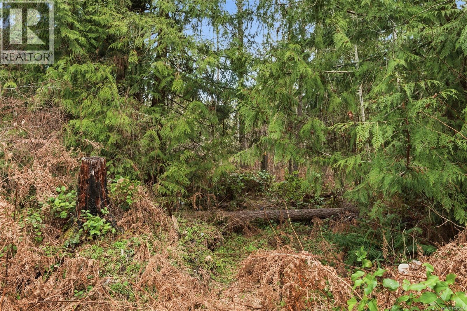 2187 Burgoyne Rd, Coombs, British Columbia  V0R 1M0 - Photo 17 - 1027526