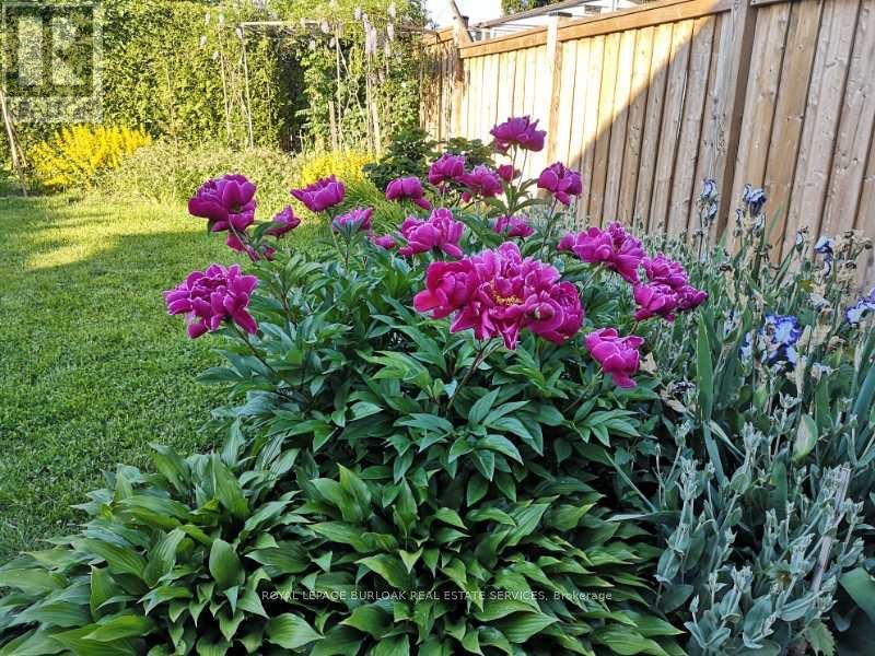 1294 Napier Crescent, Oakville, Ontario  L6H 2A4 - Photo 43 - W12855806