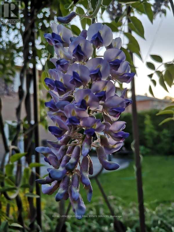 1294 Napier Crescent, Oakville, Ontario  L6H 2A4 - Photo 45 - W12855806