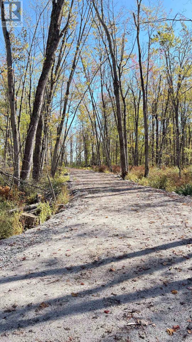 3162 Searidge St, Severn, Ontario  L3V 0Y4 - Photo 34 - S12855446