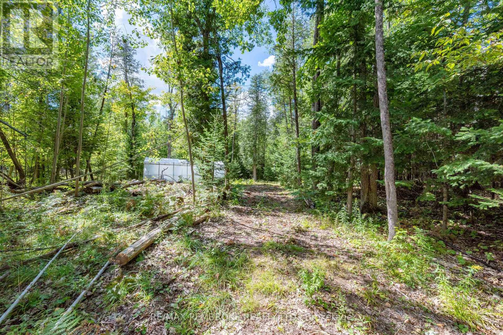 625 Forest Park Road, Laurentian Valley, Ontario  K8A 6W2 - Photo 43 - X12856154