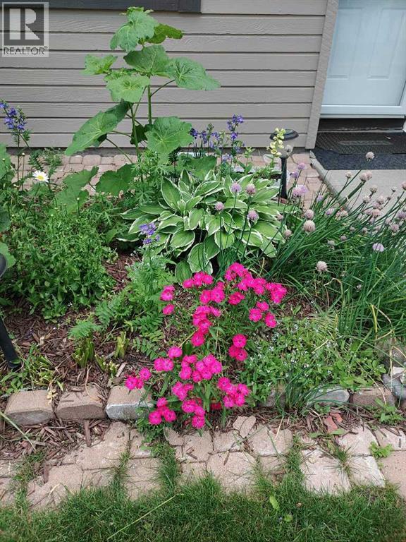 141 Cedar Springs Gardens Sw, Calgary, Alberta  T2W 5J9 - Photo 37 - A2289426