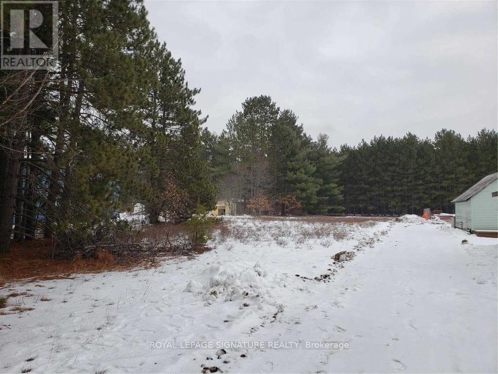 39780 Combermere Road, Madawaska Valley, Ontario  K0J 1B0 - Photo 5 - X12856060