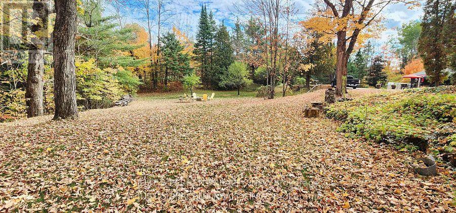 1492 County Rd 620 Road, North Kawartha, Ontario  K0L 1A0 - Photo 16 - X12856332