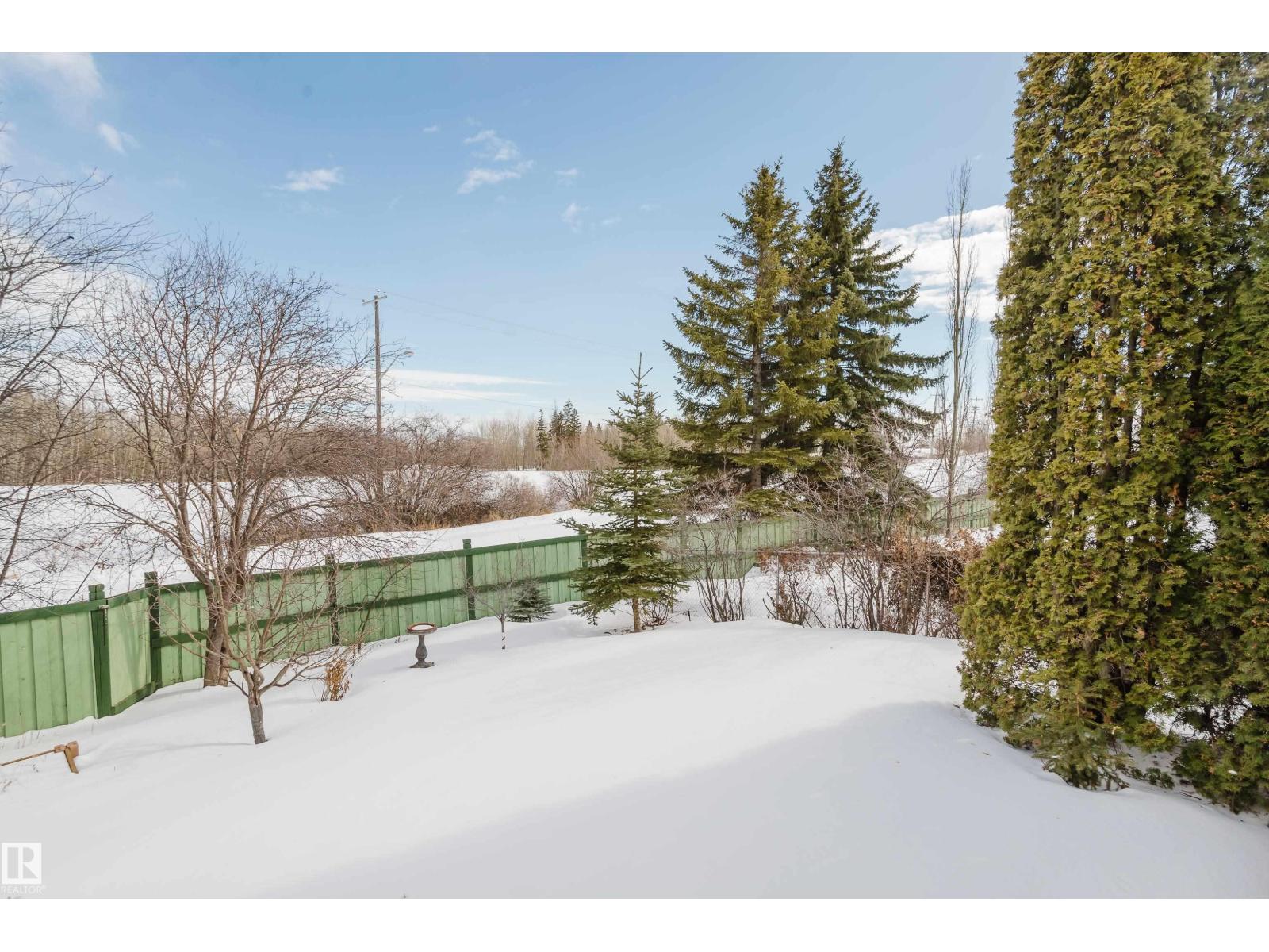 535 Pardee Bay Ba Nw, Edmonton, Alberta  T5T 5Y9 - Photo 59 - E4476347