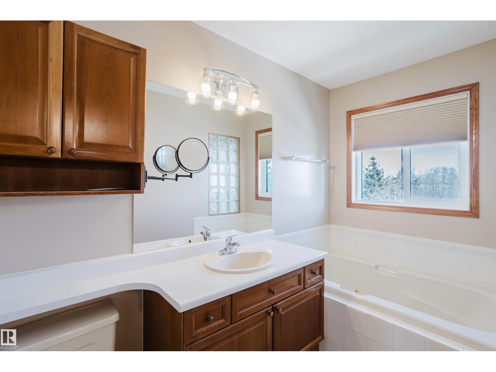 535 Pardee Bay Ba Nw, Edmonton, Alberta  T5T 5Y9 - Photo 25 - E4476347