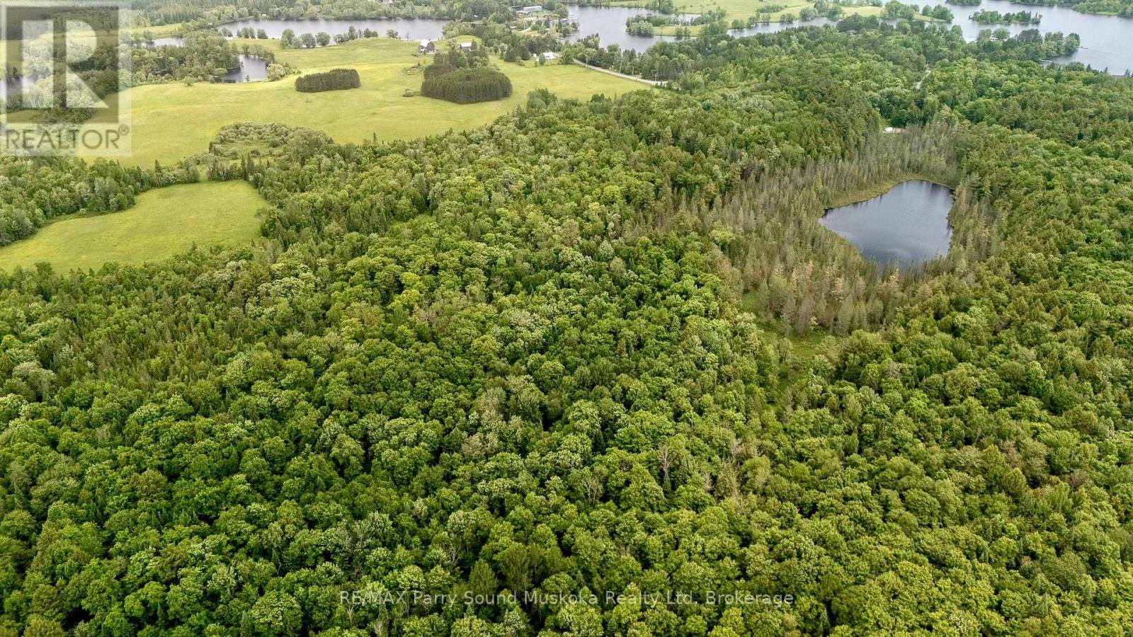 372 Mcdougall Road, Mcdougall, Ontario  P2A 0B3 - Photo 10 - X12856452