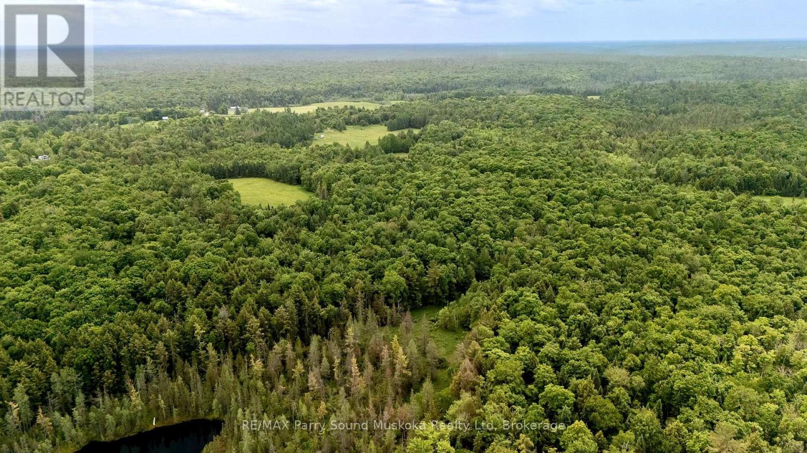 372 Mcdougall Road, Mcdougall, Ontario  P2A 0B3 - Photo 14 - X12856452