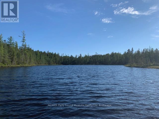 372 Mcdougall Road, Mcdougall, Ontario  P2A 0B3 - Photo 25 - X12856452