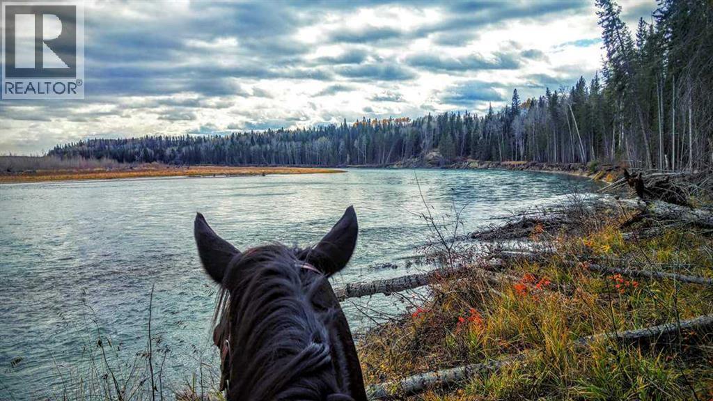 411048c Buster Creek, Rural Clearwater County, Alberta  T4T 1A5 - Photo 43 - A2289949