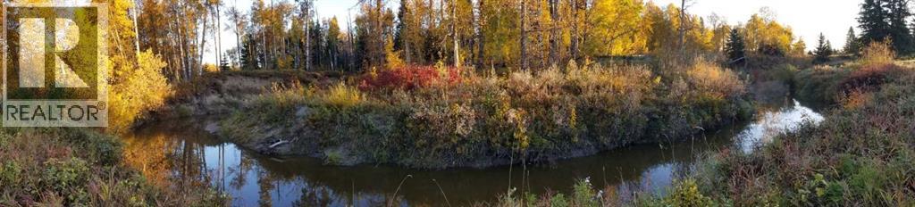 411048c Buster Creek, Rural Clearwater County, Alberta  T4T 1A5 - Photo 7 - A2289949