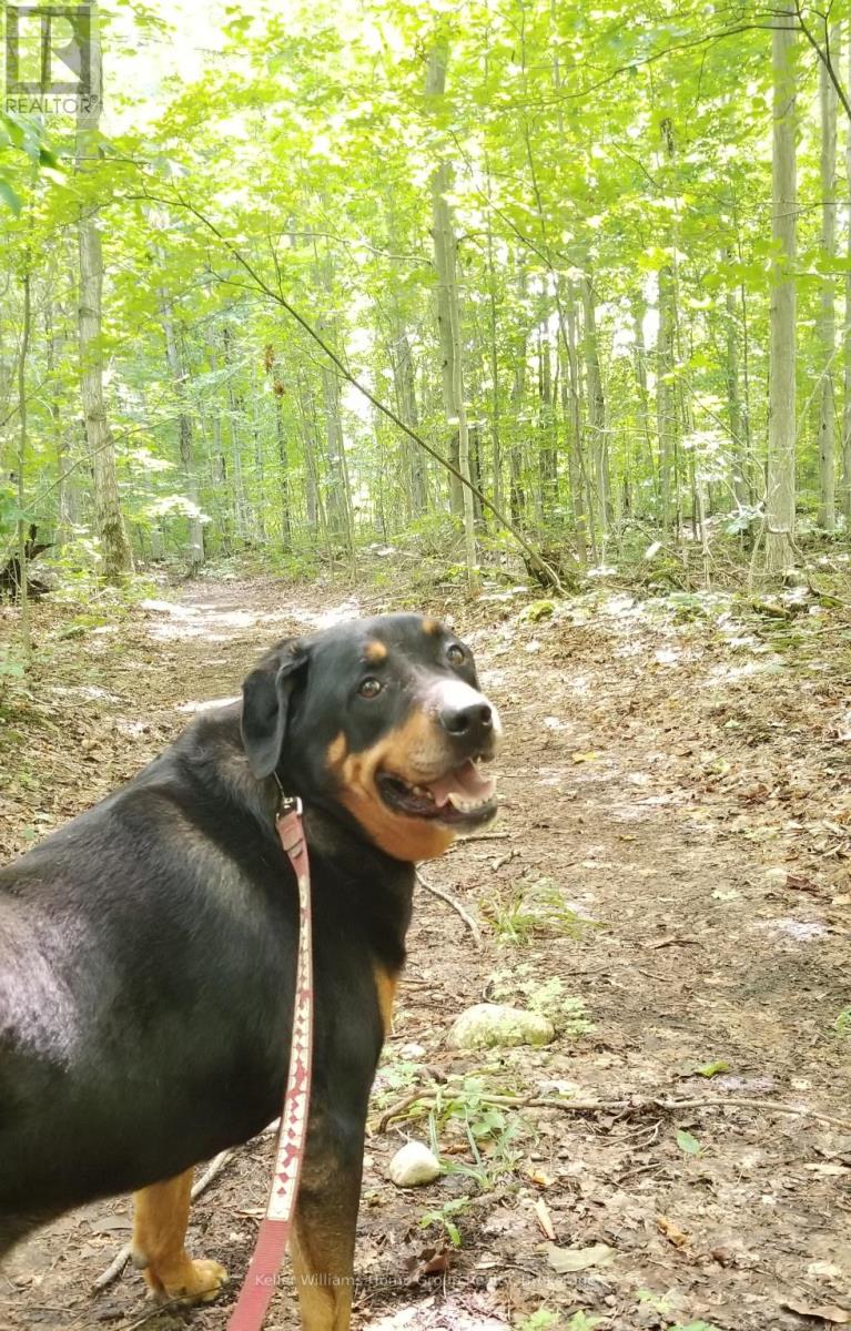 125 North Diagonal Road, South Bruce Peninsula, Ontario  N0H 2T0 - Photo 35 - X12855850