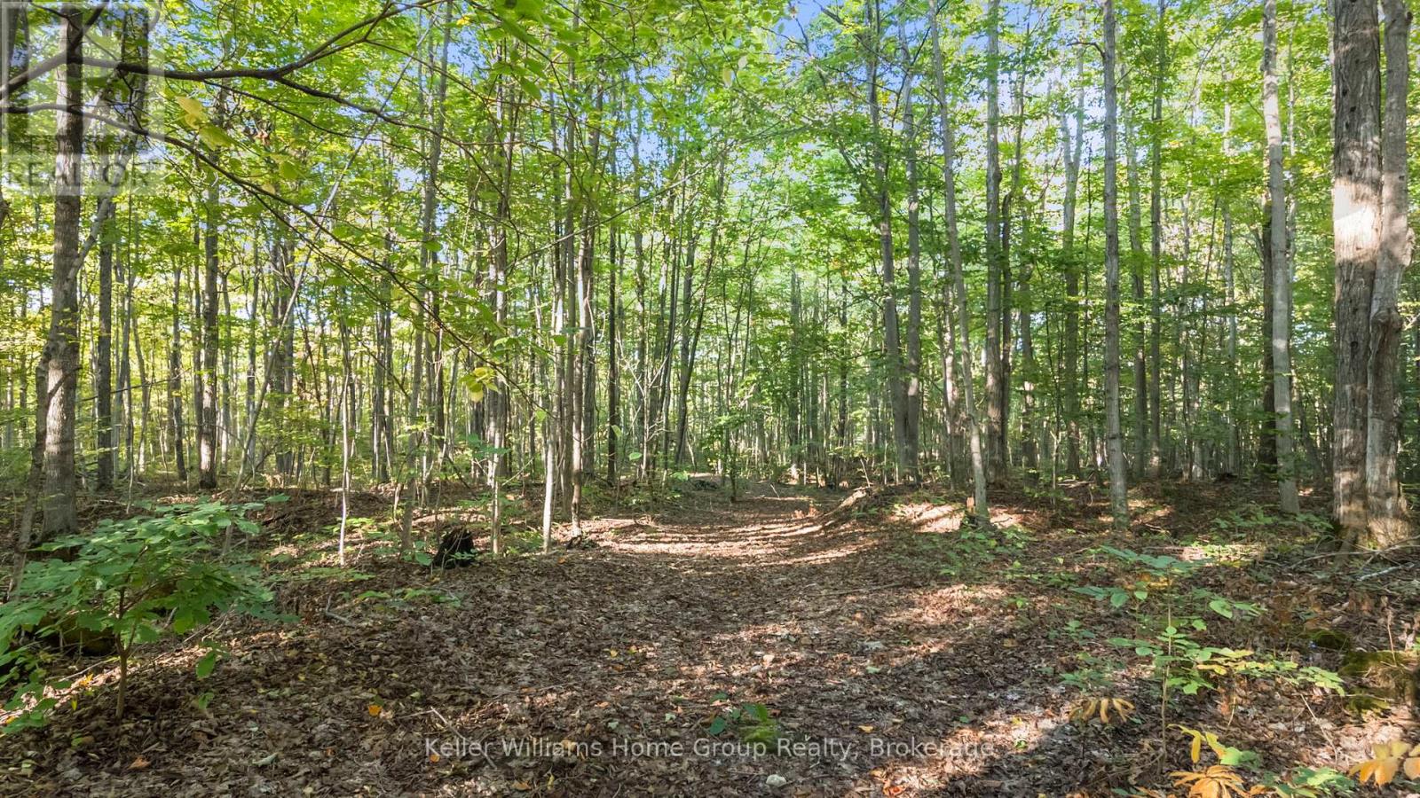 125 North Diagonal Road, South Bruce Peninsula, Ontario  N0H 2T0 - Photo 34 - X12855850