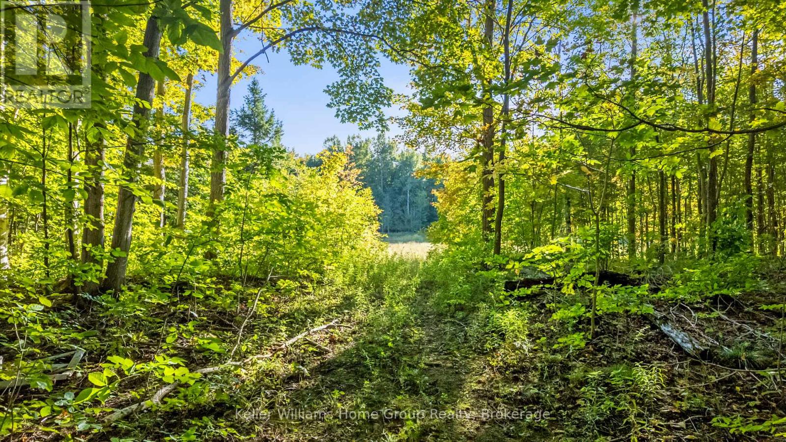 125 North Diagonal Road, South Bruce Peninsula, Ontario  N0H 2T0 - Photo 36 - X12855850