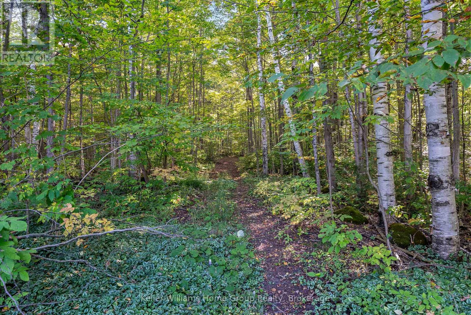 125 North Diagonal Road, South Bruce Peninsula, Ontario  N0H 2T0 - Photo 37 - X12855850