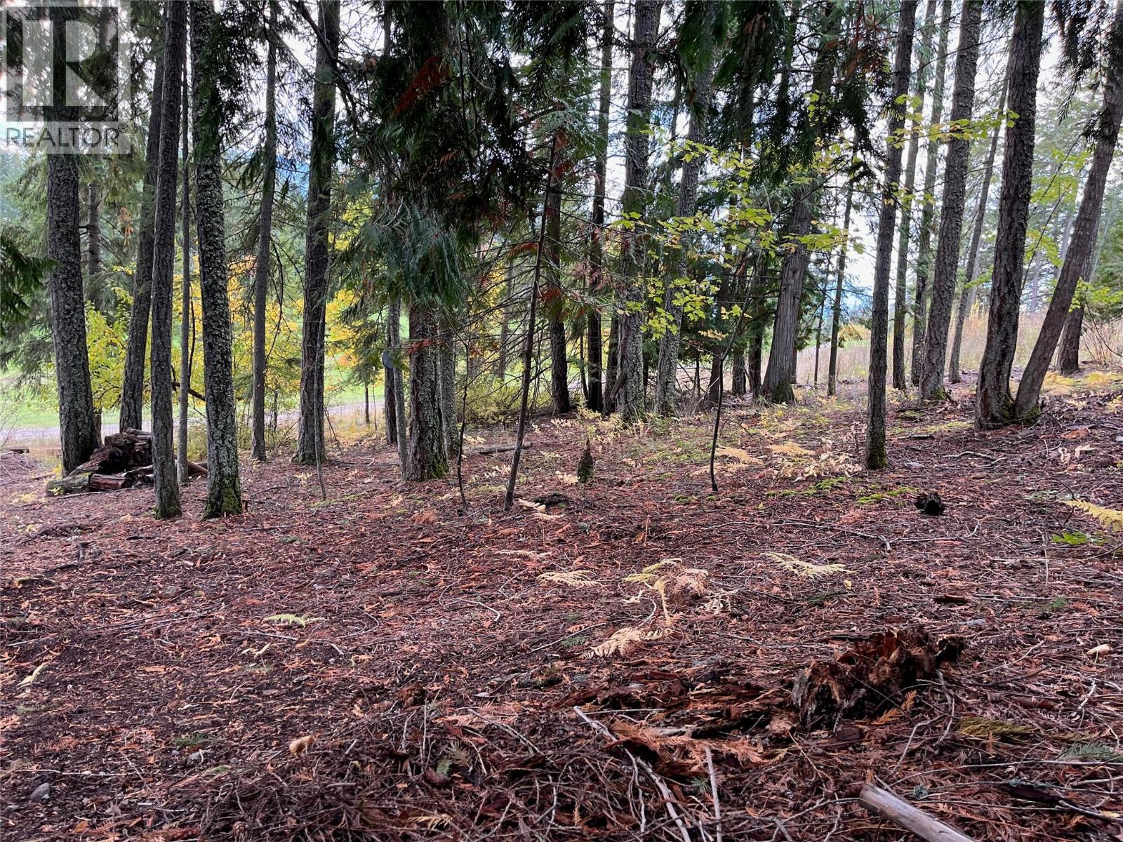 Columbia Drive Lot# 138, Anglemont, British Columbia  V0E 1M8 - Photo 4 - 10378444