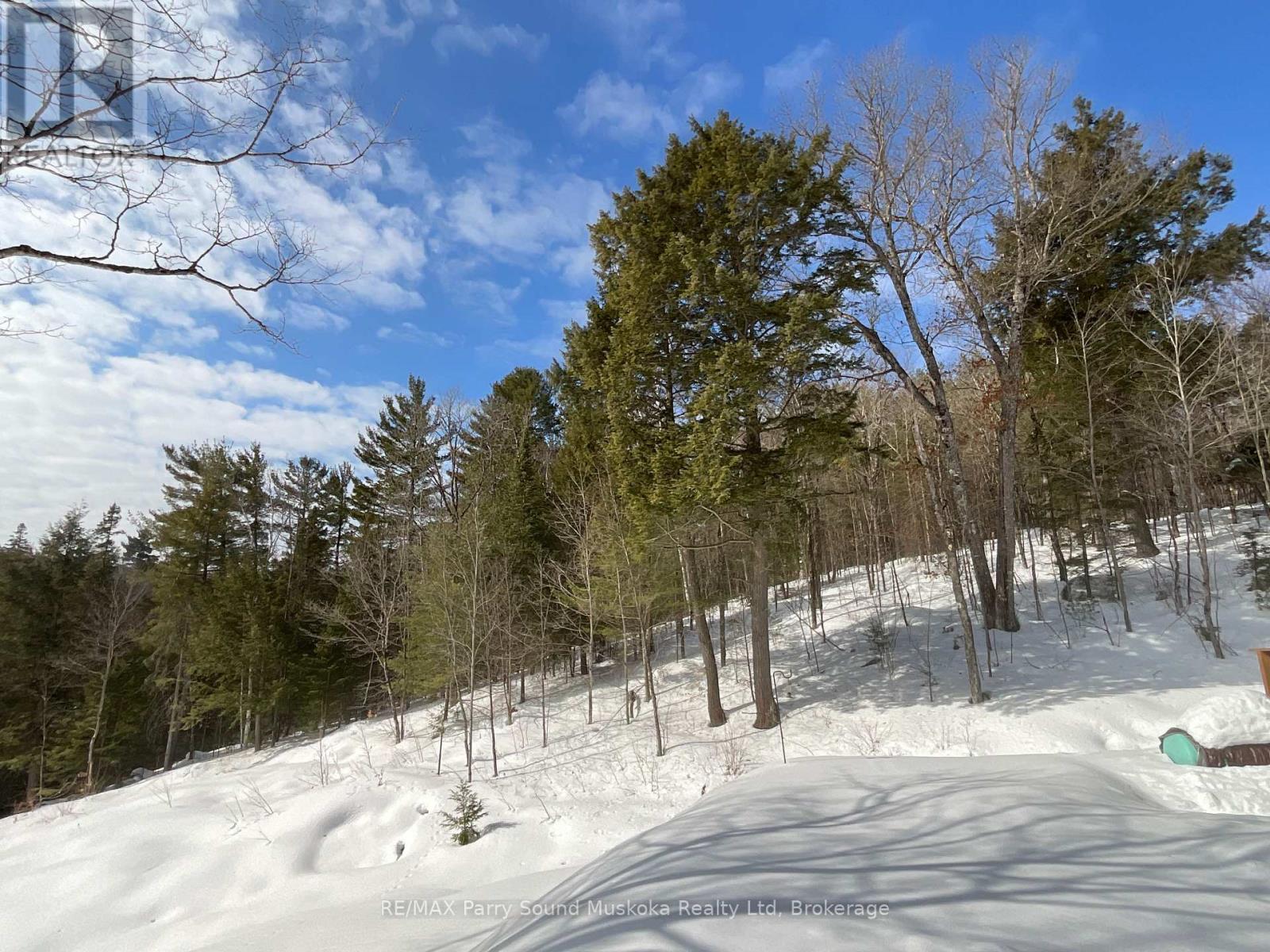161 - 25 Balsam Creek Road, Parry Sound Remote Area, Ontario  P0H 1S0 - Photo 16 - X12856514