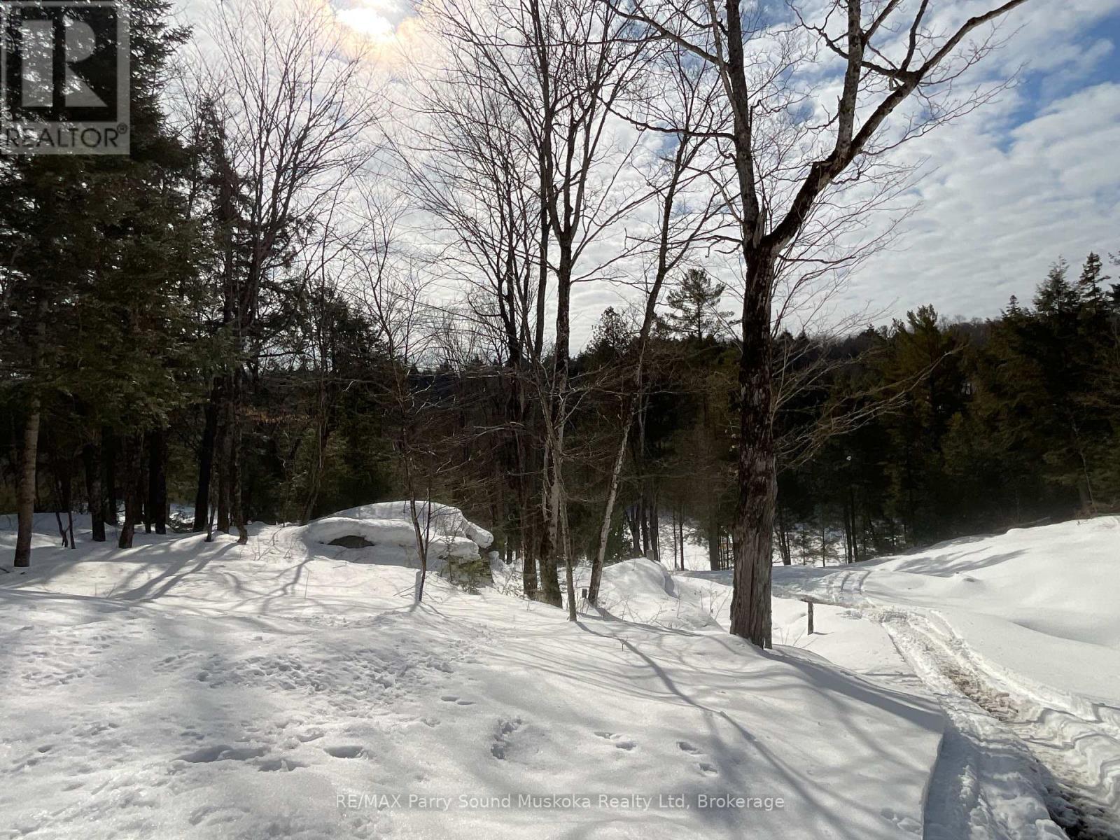 161 - 25 Balsam Creek Road, Parry Sound Remote Area, Ontario  P0H 1S0 - Photo 17 - X12856514