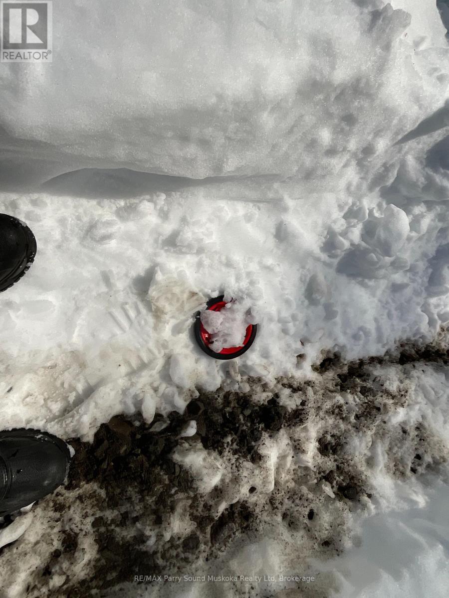 161 - 25 Balsam Creek Road, Parry Sound Remote Area, Ontario  P0H 1S0 - Photo 41 - X12856514