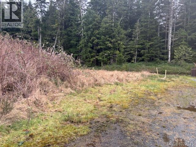 6260 Hunt St, Port Hardy, British Columbia  V0N 2P0 - Photo 3 - 1027515