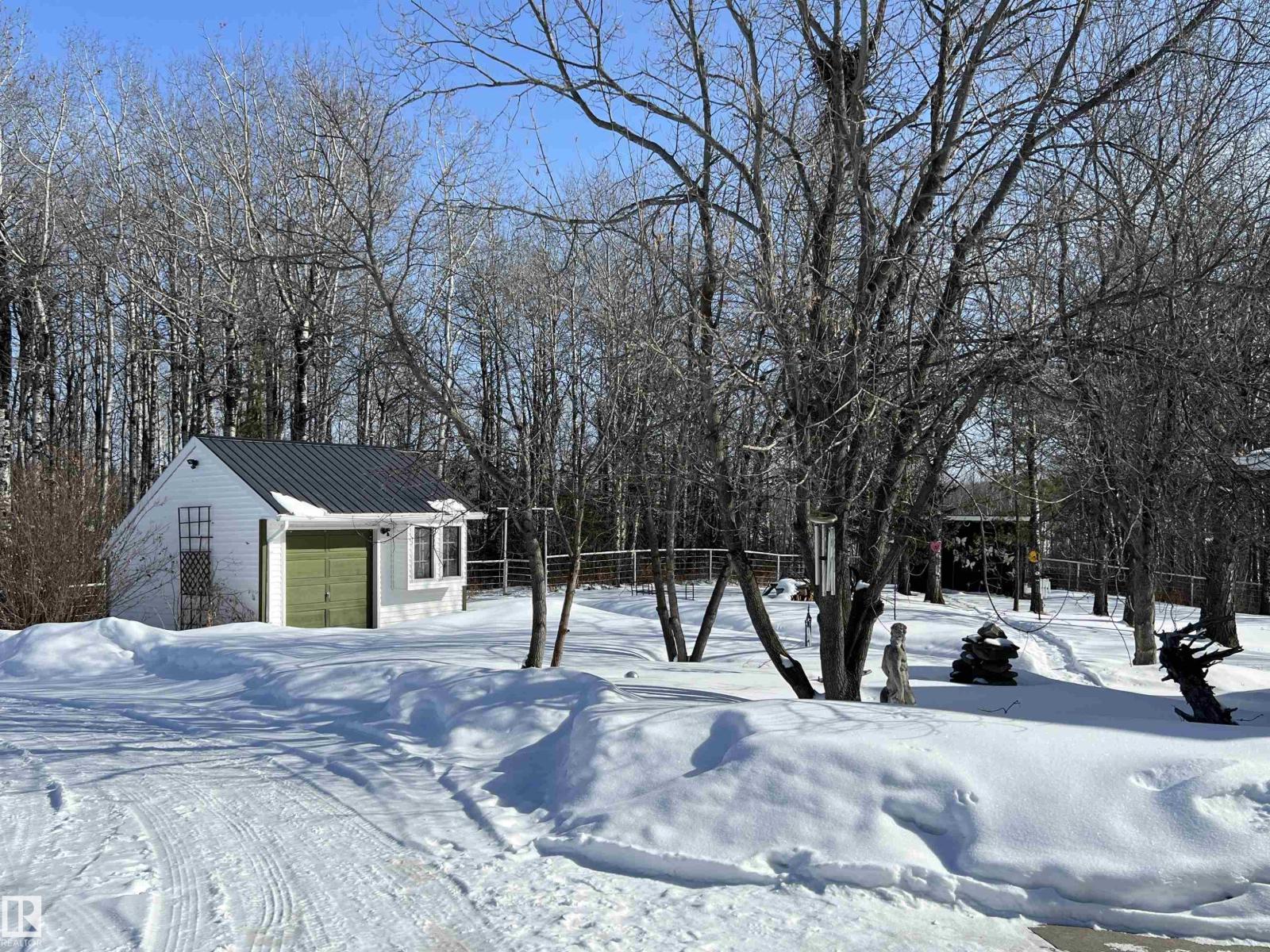 6211 Hwy 39, Rural Brazeau County, Alberta  T7A 1R2 - Photo 3 - E4475884