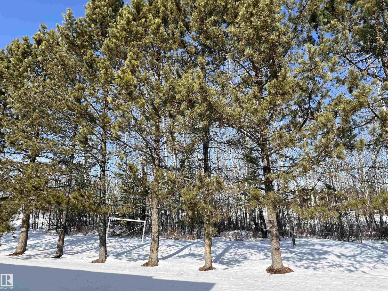 6211 Hwy 39, Rural Brazeau County, Alberta  T7A 1R2 - Photo 58 - E4475884