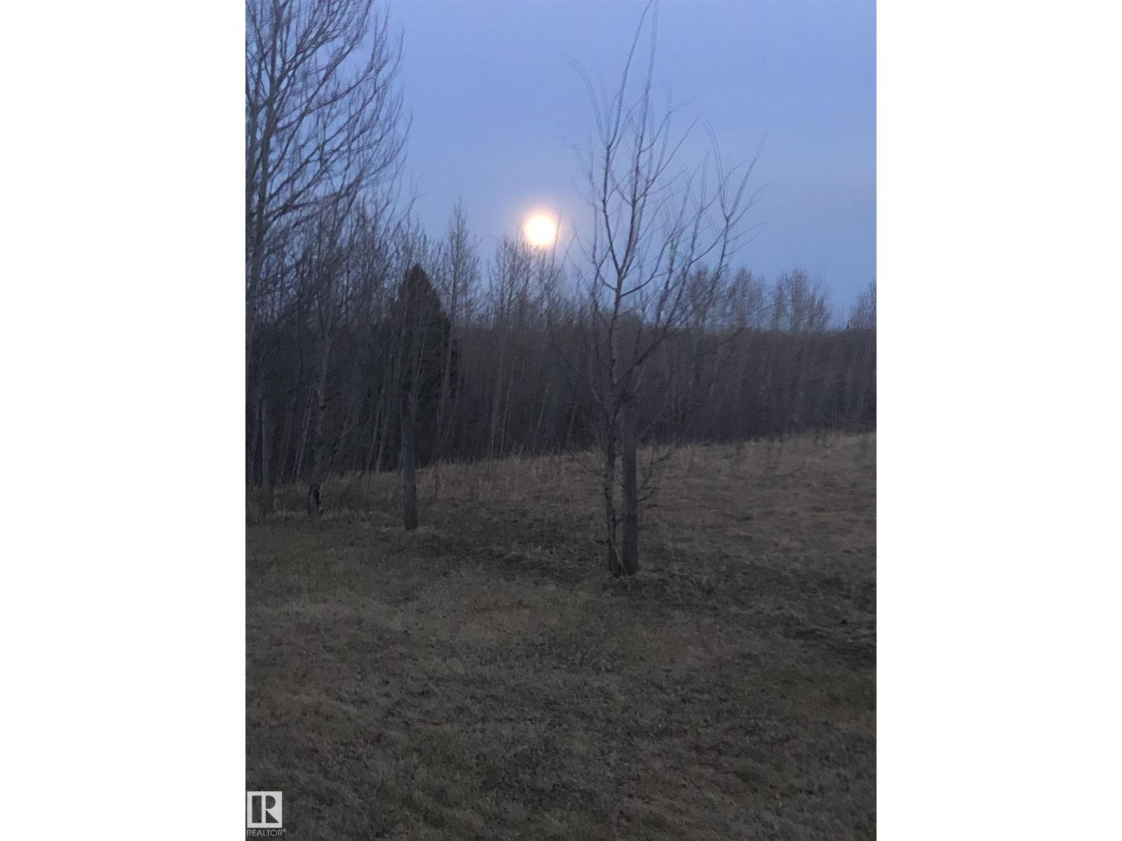 6211 Hwy 39, Rural Brazeau County, Alberta  T7A 1R2 - Photo 67 - E4475884