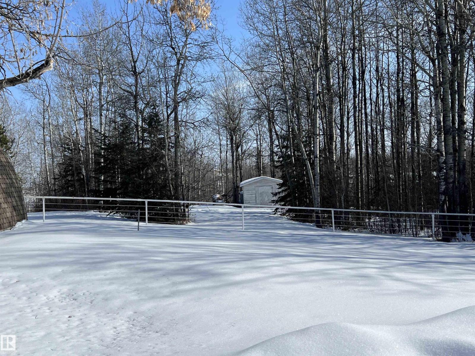 6211 Hwy 39, Rural Brazeau County, Alberta  T7A 1R2 - Photo 49 - E4475884