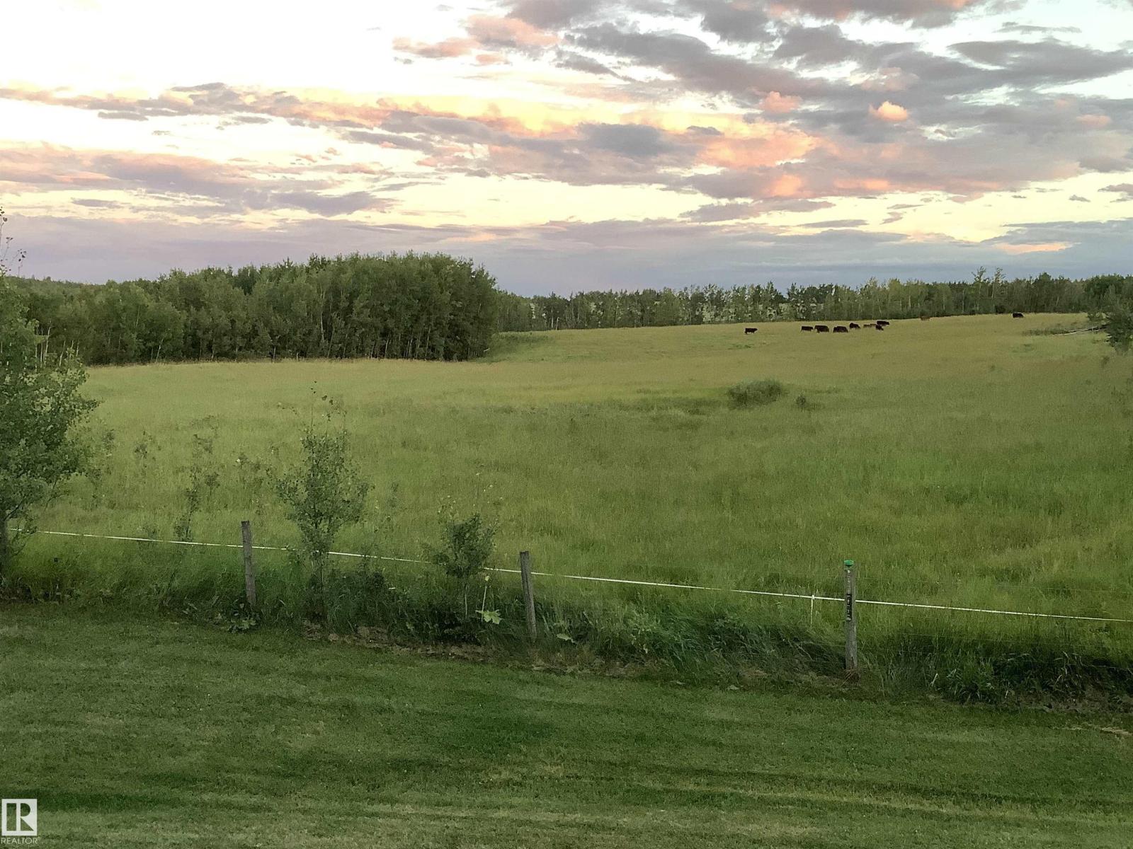 6211 Hwy 39, Rural Brazeau County, Alberta  T7A 1R2 - Photo 61 - E4475884