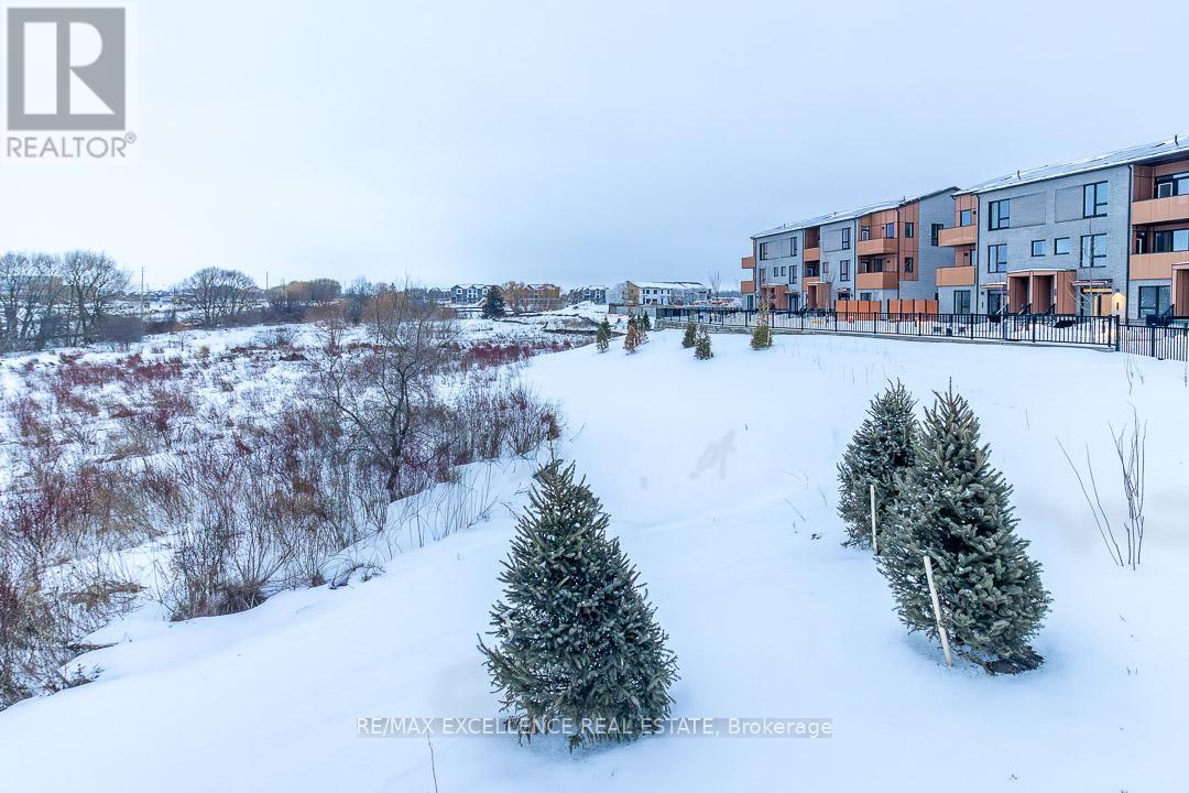 60 All Nations Drive, Brampton, Ontario  L7A 5M4 - Photo 5 - W12856542