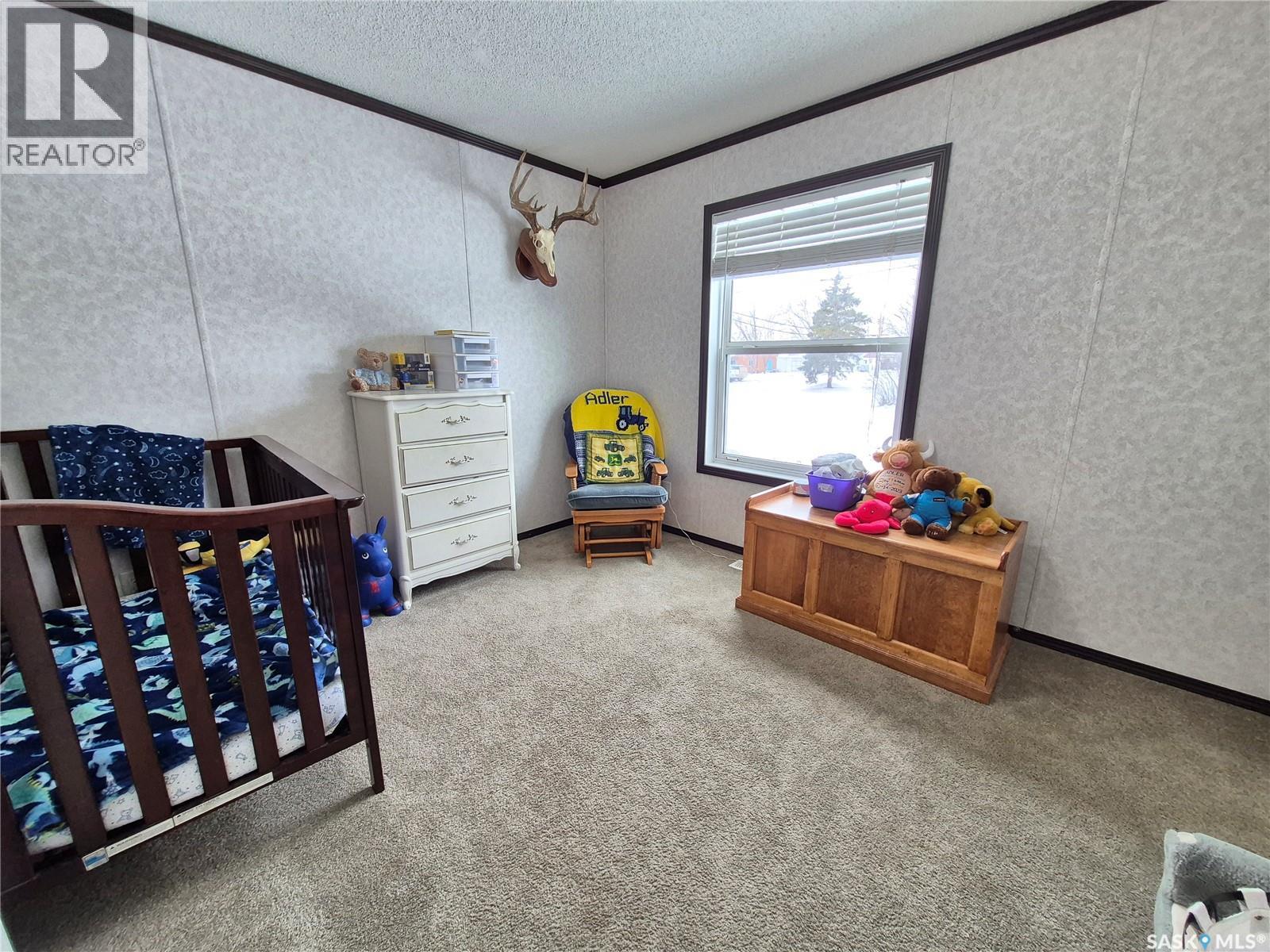 151 2nd Avenue, Bengough, Saskatchewan  S0C 0K0 - Photo 28 - SK029903