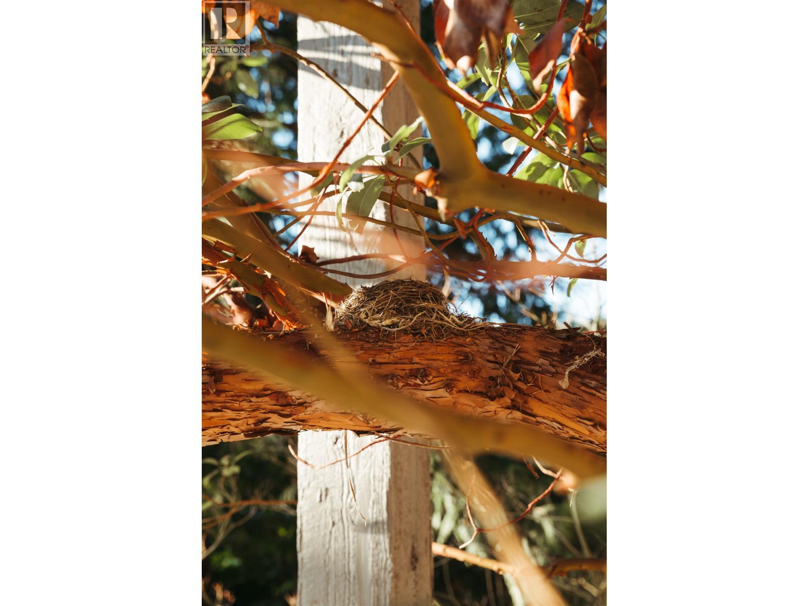 5757 Telegraph Trail, West Vancouver, British Columbia  V7W 1R5 - Photo 8 - R3097114