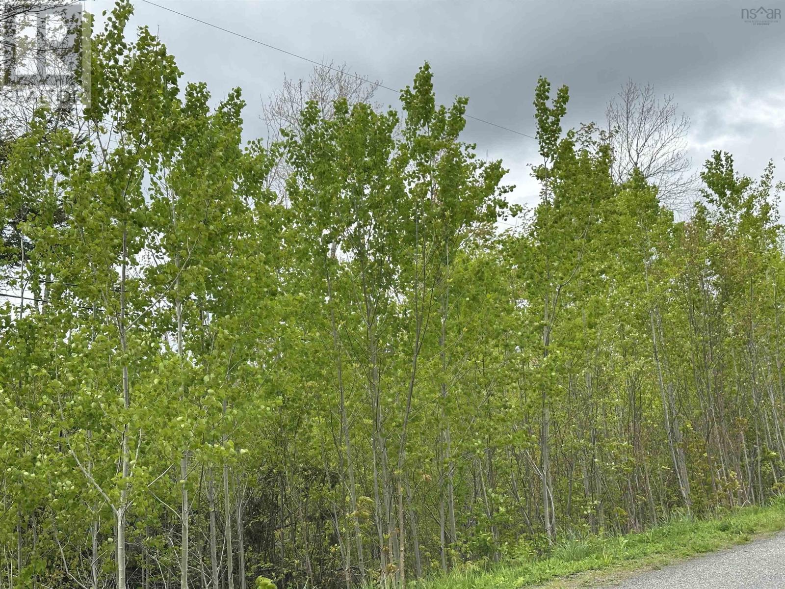 19 Acres+- Wallace Road, Hazel Glen, Nova Scotia  B0K 2A0 - Photo 10 - 202604068